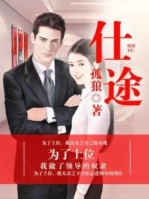 仕途巅峰无弹窗免费全文阅读